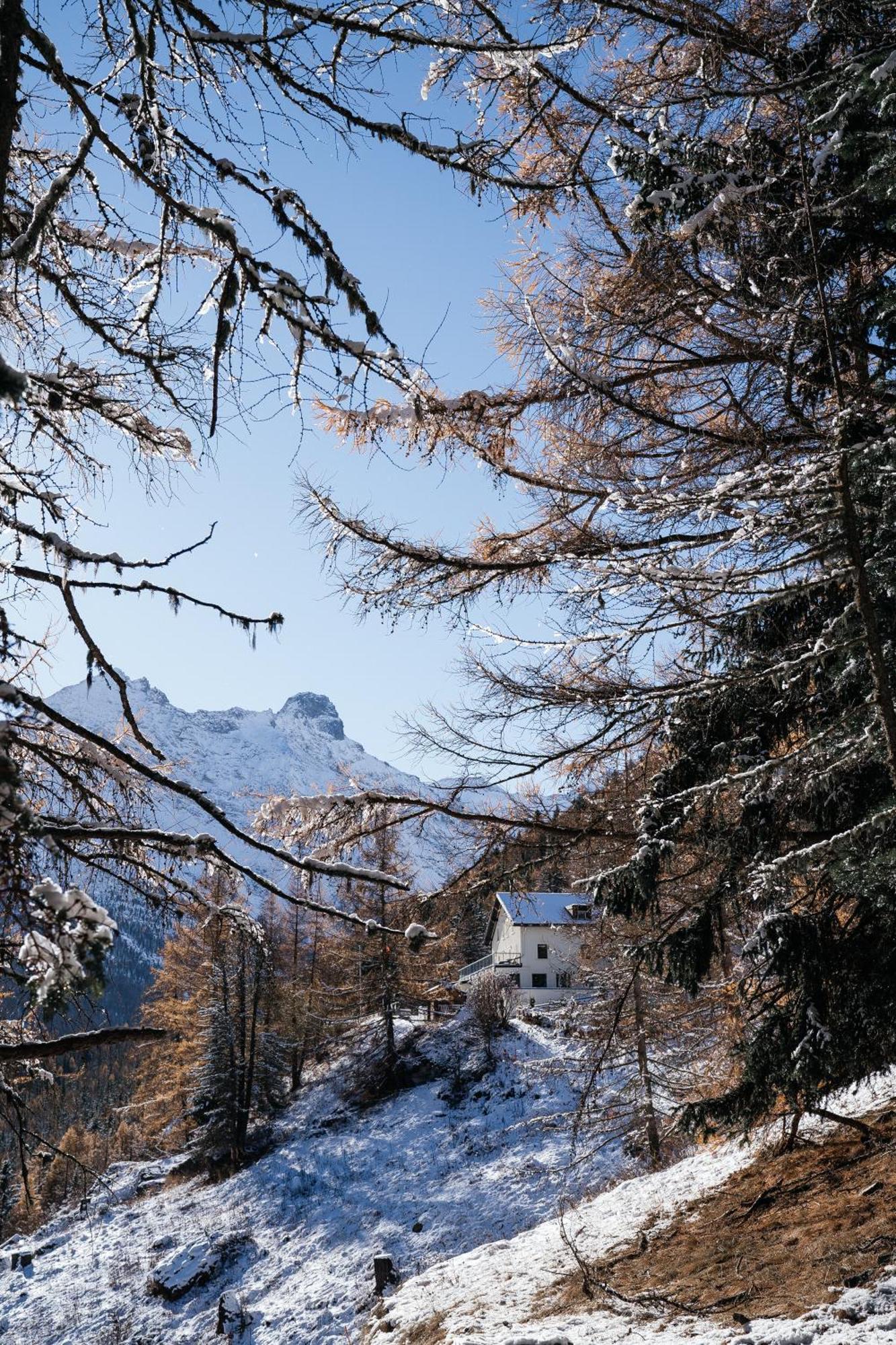 Waldhotel Fletschhorn Panoramic Retreat In Saas Fee Εξωτερικό φωτογραφία