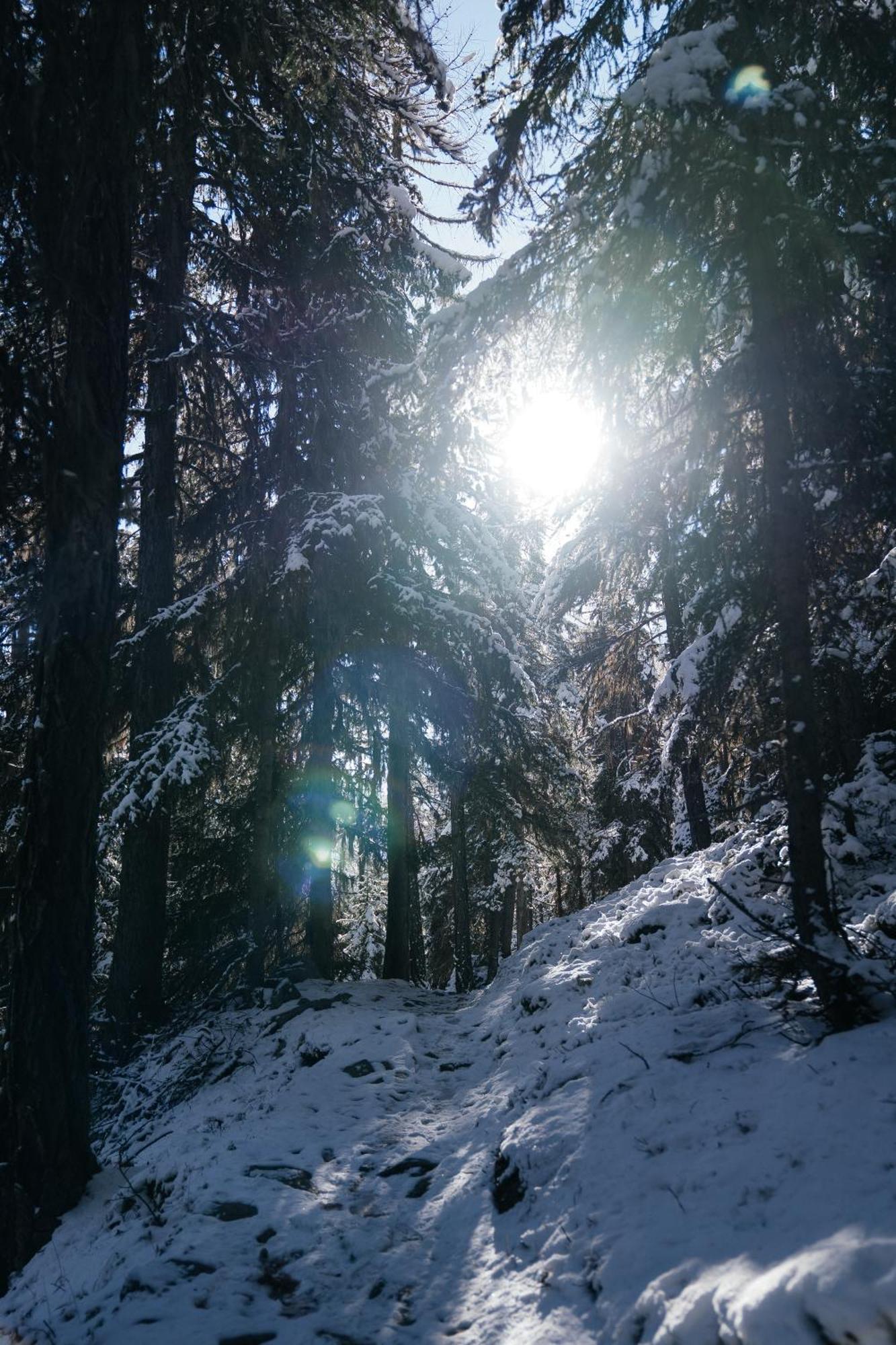 Waldhotel Fletschhorn Panoramic Retreat In Saas Fee Εξωτερικό φωτογραφία