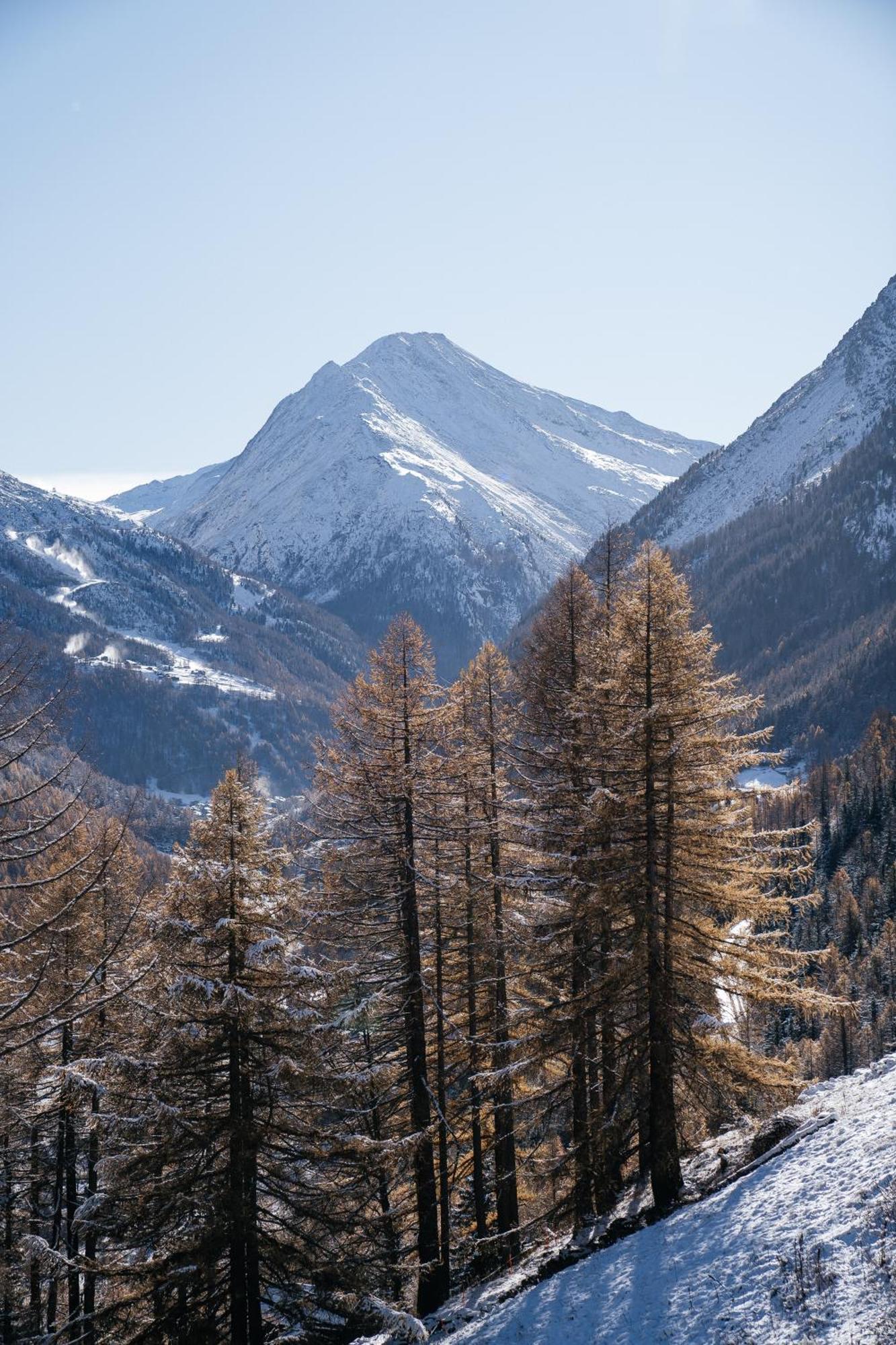 Waldhotel Fletschhorn Panoramic Retreat In Saas Fee Εξωτερικό φωτογραφία